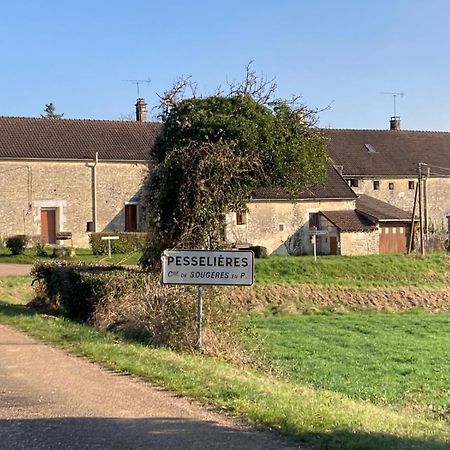 Longere Campagne 10 Pers. Proche Guedelon Villa Sougeres-en-Puisaye Exterior photo