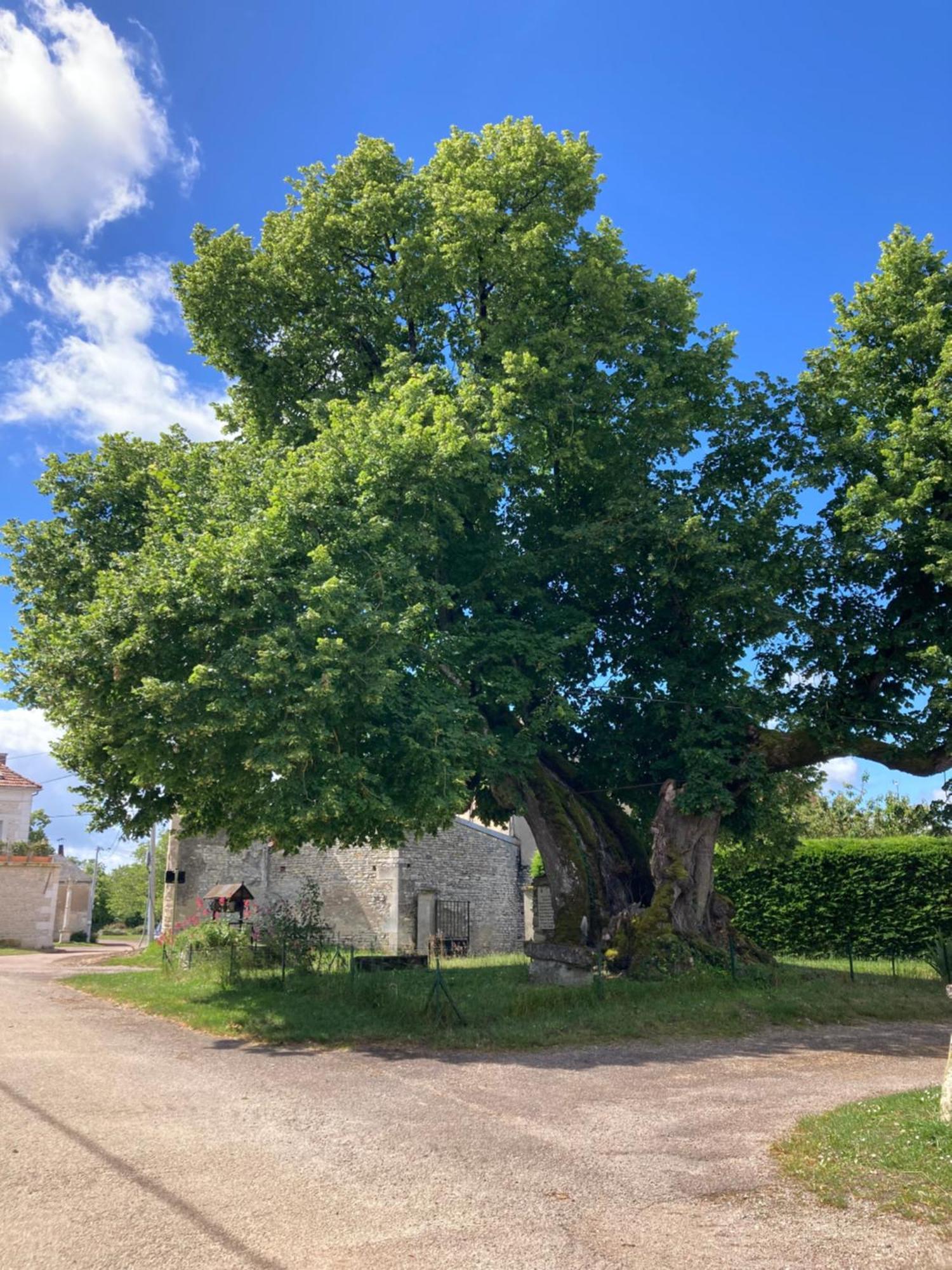Longere Campagne 10 Pers. Proche Guedelon Villa Sougeres-en-Puisaye Exterior photo